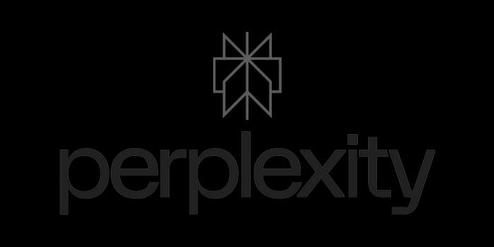 Perplexity